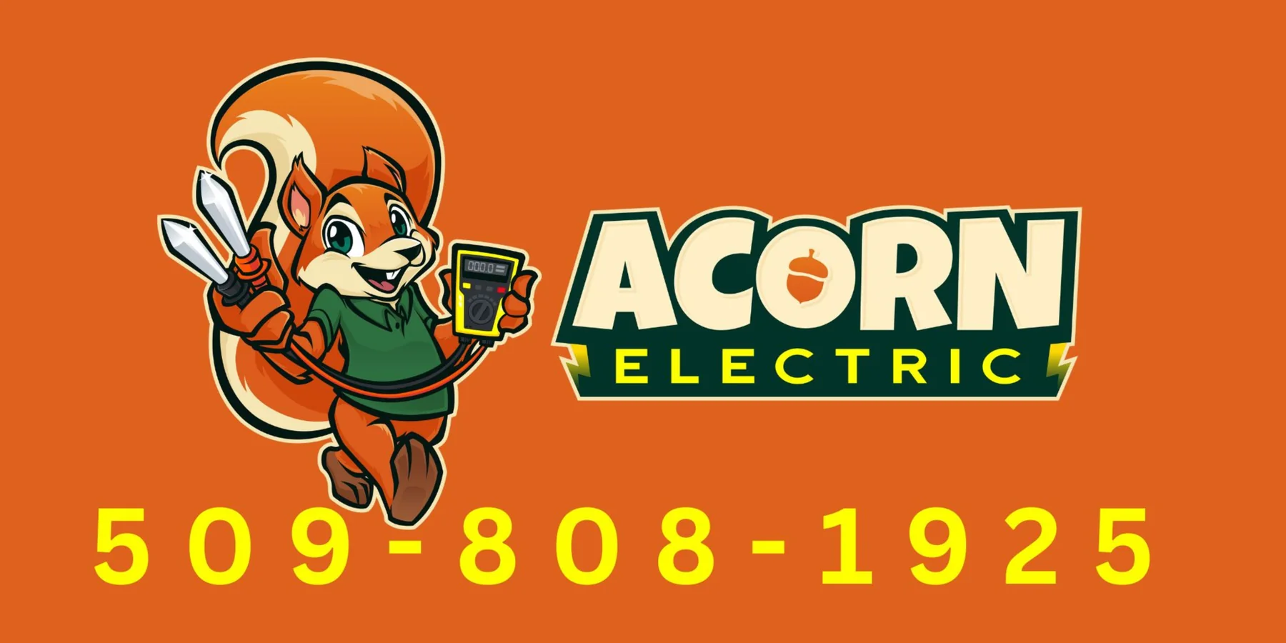 Acorn Electric